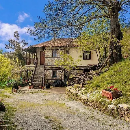 Halatsogiannis Mansion Guest House Palaios Panteleimonas Exterior photo